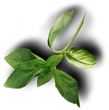 banner item